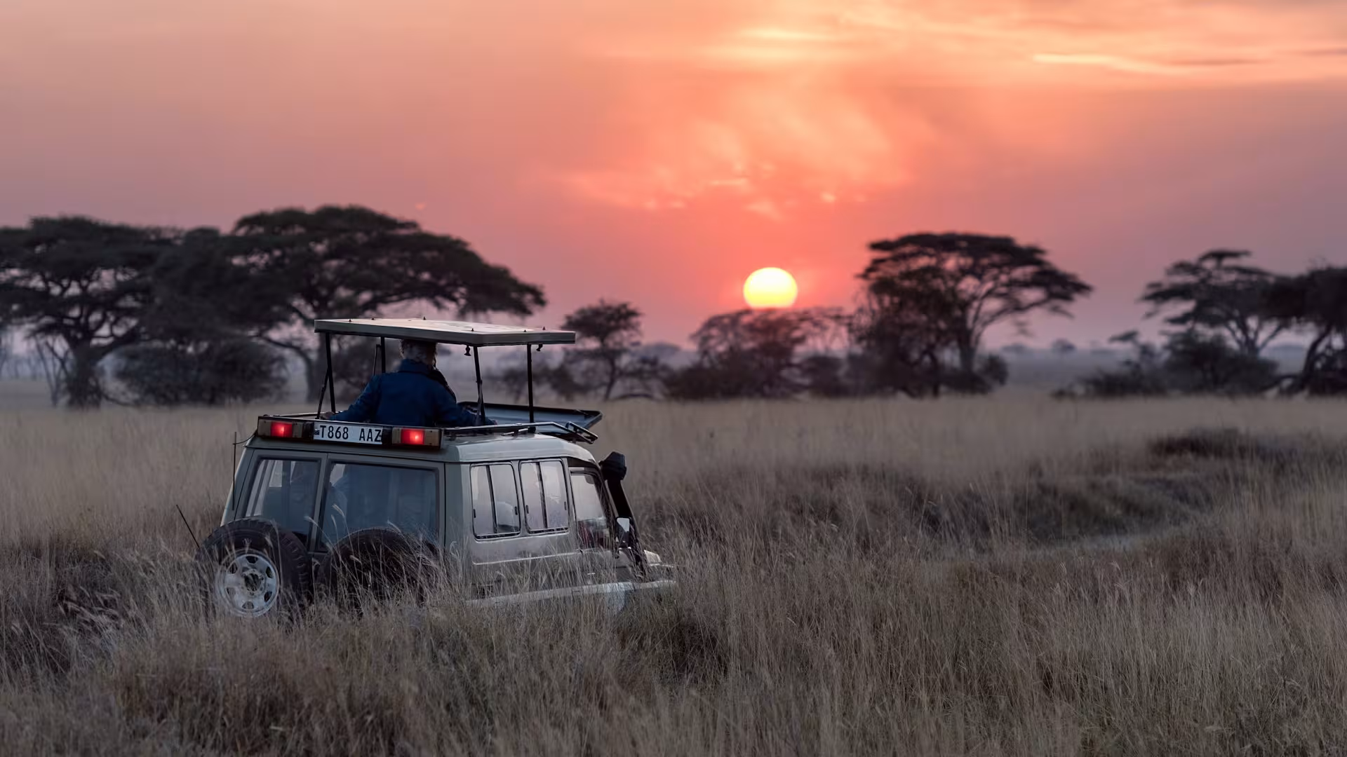 Elefantes caminhando na savana africana sob o pôr do sol dourado