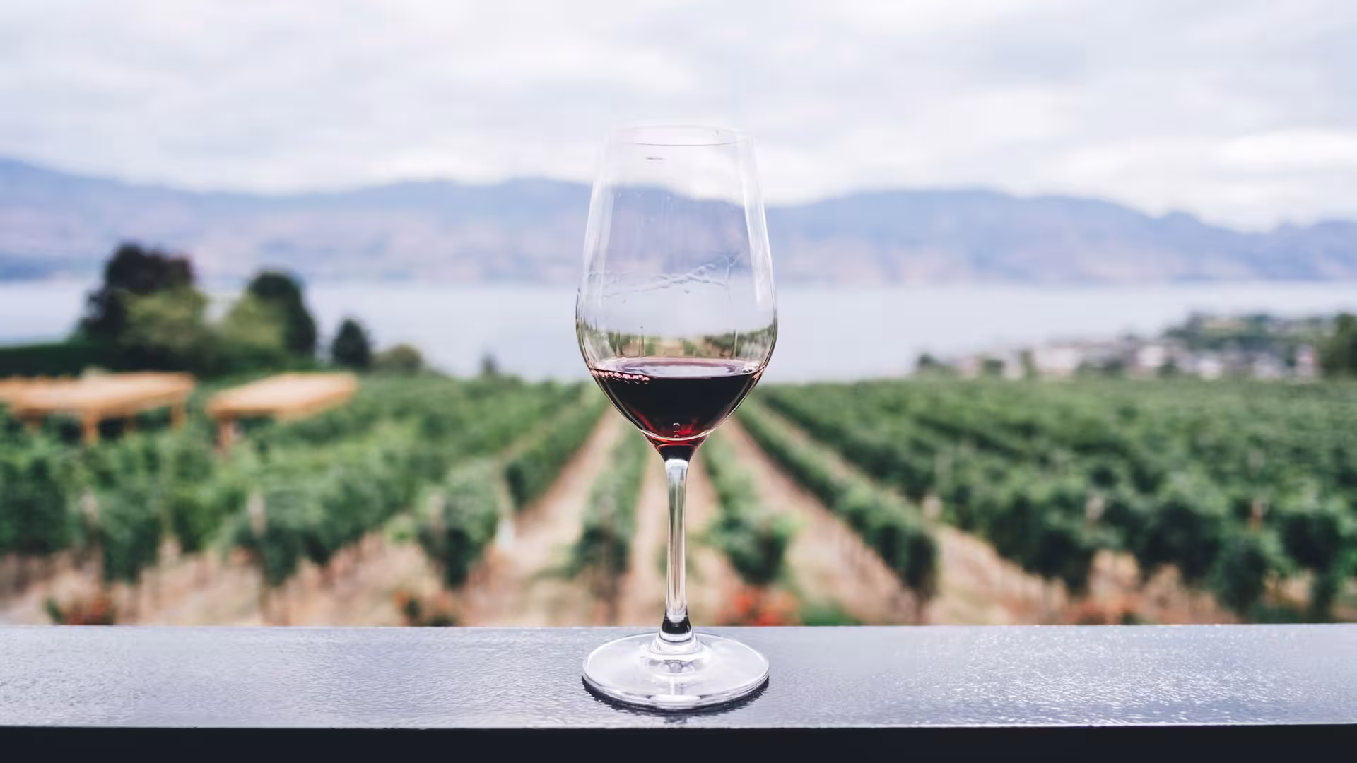 Vinhedos e colinas douradas de vinícola na região da Toscana, Itália
